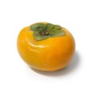 단감상회 이미지