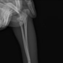 딜리동물병원 이미지