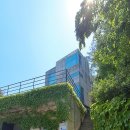 자하미술관 [무등산 - 임채욱 사진전] 이미지