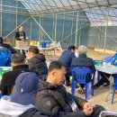 프로블루베리팜스 네이버블로그