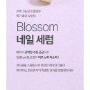 네일블라썸 이미지
