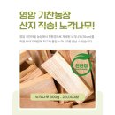 기찬농장 이미지