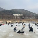 가평 청평 겨울축제, 25년 청평 설빙 송어빙어 축제 후기
