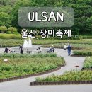 울산남구견인차량보관소 | 울산 장미축제 울산대공원 장미원 5월 가족 나들이 코스 추천