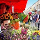 플라워민박 이미지