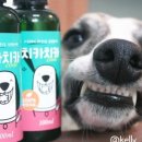 주식회사 펫과의 동행 이미지