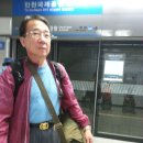 토림 이미지