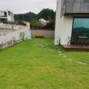 검빵이네 이미지