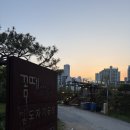 주차51 | 둔촌동 꼼떼 바베큐 후기, 비밀의 정원 같은 가족모임 명당