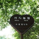서지농원 이미지