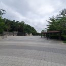 동탄센트럴파크 인라인스케이트장 | [25.06.29] 동탄 센트럴 파크