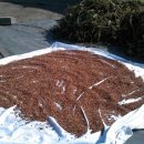 수촌농장 이미지