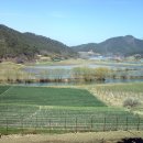 사슴자연 방목장 이미지