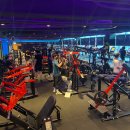 조형과 운동 이미지