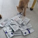 오마두댓 이미지