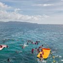 레드 | 보라카이 호핑투어 살라맛 올인원 레드웨일 후기