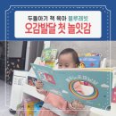 꿈꾸는 책 속 세상, 상상력 키우기 | 두돌아기 책육아 블루래빗 오감발달 첫놀잇감 활용 후기