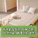한일종합쇼핑 | 곰표한일 물세탁 전기요, 과연 겨울밤의 구원자일까? 팩트 분석
