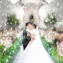 지디기획 | 빌라드지디 본식스냅 후기 | gd컨벤션 그랜드볼룸 결혼식 웨딩 | 안산본식스냅추천 | 지디컨벤션 본식...