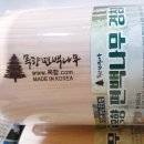 목향편백 이미지