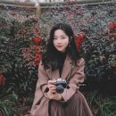 [일상] 무언가의 시작과 격차, 흔들림이 가득했던 주.