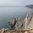 서풍 Daum카페