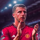 메디칼마운트 이미지