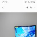 키즈포레