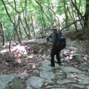 동학사1·2로 이미지