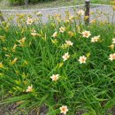 문수산자연휴양림 이미지