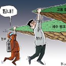 13 이미지