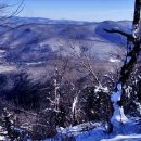 한아름주유소 이미지