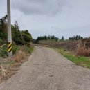 하천리-8 이미지