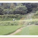 화순온천 이미지