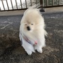 산본주유소 화장실 | 사월이 지나면 우리..