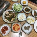 산성애견 이미지