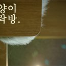 다락방 친구들 이미지