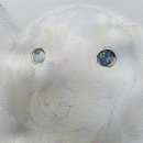 눈코입