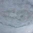 주식회사 용성