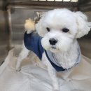 두산동물병원 이미지