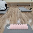 꿈나무사회복지관 강당 | 중림사회복지관] SNPE 바른자세 척추운동 무료수업 첫날｜생각보다 재미 있었다