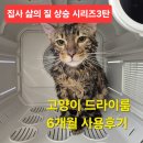 KD영상 | 전쟁 끝! 6개월째 효자템 Yimaida 펫 드라이룸 KD-003 솔직후기