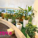 소망연합치과의원 이미지