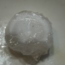 석참치