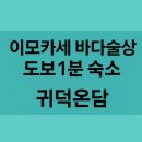 귀덕귀덕 | 이모카세 바다술상 도보 1분 숙소｜귀덕온담 솔직 후기