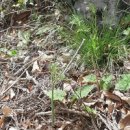 지리산산하루 이미지