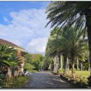 제주 10만평 대지위의 한림공원 이미지