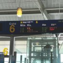 세븐일레븐(김해동상점) | 2박 3일 구마모토 혼자 여행 1️⃣ - 소테츠 그랜드 프레사 / 구마모토 동식물원 / 濃厚鶏白湯いわお / Kirin