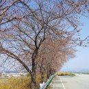 논산대로 이미지