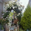 정원이 아름다운 집 이미지